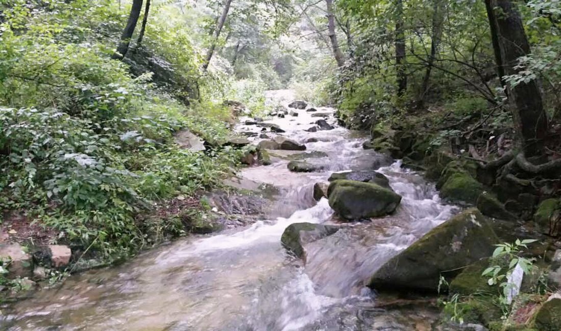 모래재캠핑장 사진 8