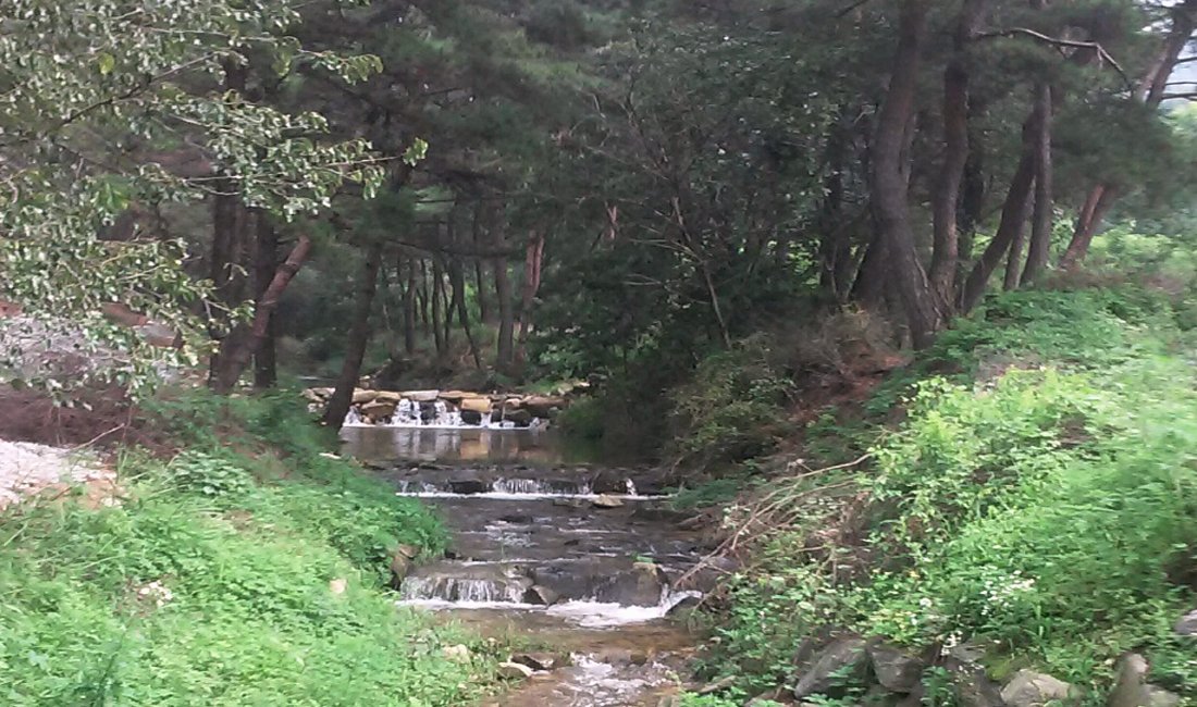 모래재캠핑장 사진 9