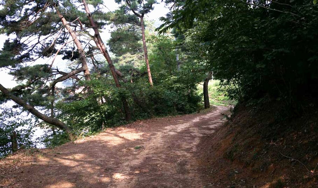 모래재캠핑장 사진 10